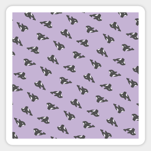 Orca Pattern Sticker